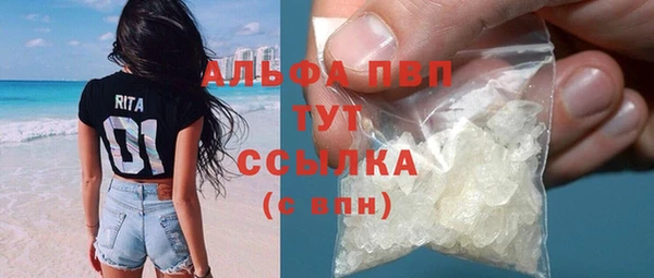крисы Алзамай