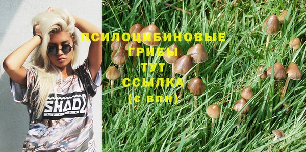 крисы Алзамай