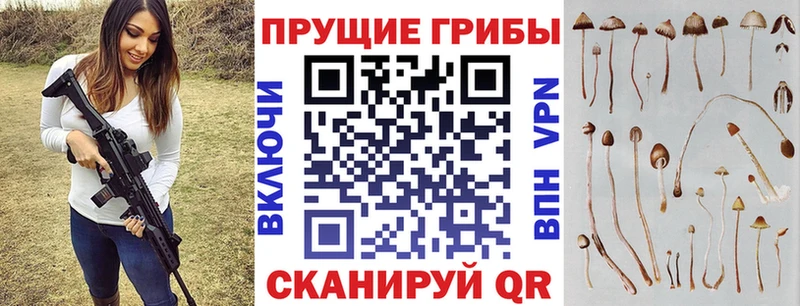 мега рабочий сайт  Белоозёрский  Псилоцибиновые грибы MAGIC MUSHROOMS 